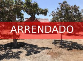 ACOGEDORA CABAÑA DE UN DORMITORIO UBICADA EN EL KM. 11 DEL VALLE DE AZAPA.