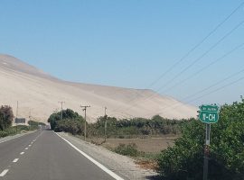 LLUTA 8.300 M2 ORILLA DE CAMINO Y  1/4 ACCIÓN DE AGUA
